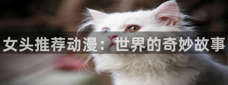 新新漫画：女头推荐动漫：世界的奇妙故事