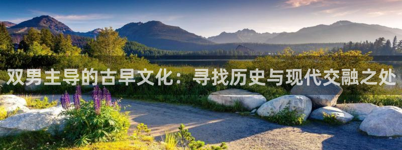 拷贝漫画 copymanager.ory网站：双男主导的古早文化：寻找历史与现代交融之处