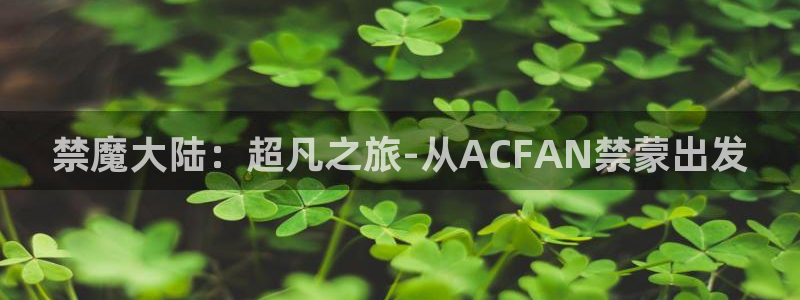 在线动画动漫下载新新漫画：禁魔大陆：超凡之旅-从ACFAN禁蒙出发