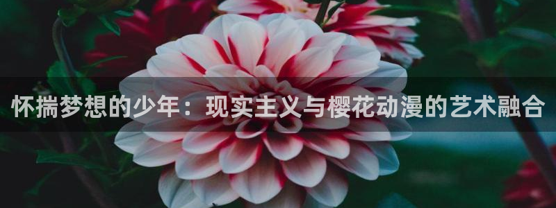colamanage漫画官网：怀揣梦想的少年：现实主义与樱花动漫的艺术融合