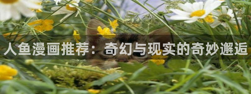 colamanage漫画下载：人鱼漫画推荐：奇幻与现实的奇妙邂逅
