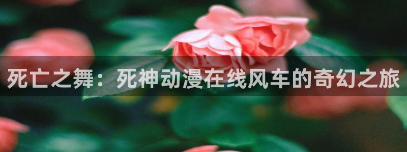age专注动漫的门户网站：死亡之舞：死神动漫在线风车的奇幻之旅