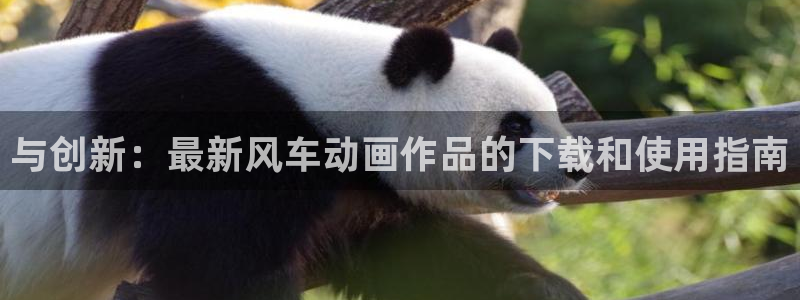 age樱花动漫：与创新：最新风车动画作品的下载和使用指南