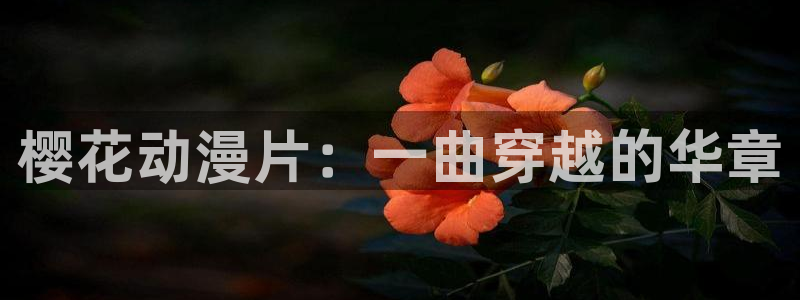 新新漫画樱花：樱花动漫片：一曲穿越的华章