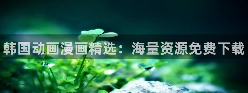 新新漫画官网入口老版本：韩国动画漫画精选：海量资源免费下载