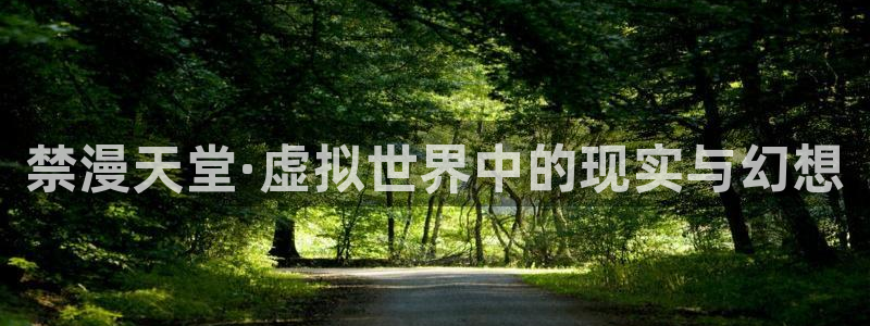 新新漫画正版网：禁漫天堂·虚拟世界中的现实与幻想