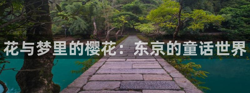 新新漫画网下载：花与梦里的樱花：东京的童话世界